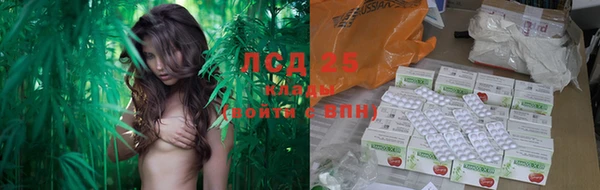 эйфоретик Нязепетровск
