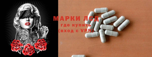 прущие грибы Болотное