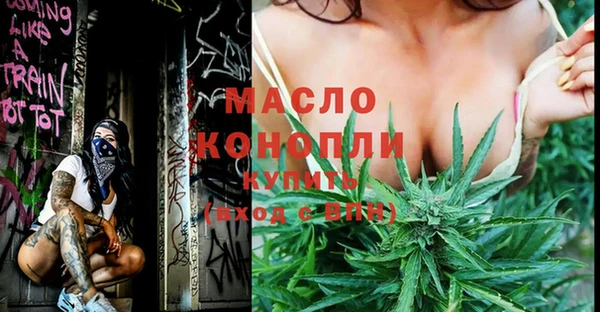 молекула духа Надым