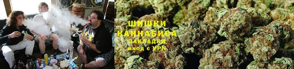 крисы Медвежьегорск