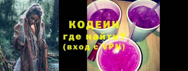 индика Михайловка