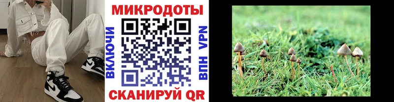 MEGA tor  Нижняя Тура  Галлюциногенные грибы мицелий 